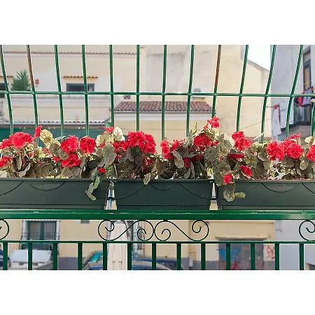 Serendipity 4* Салерно